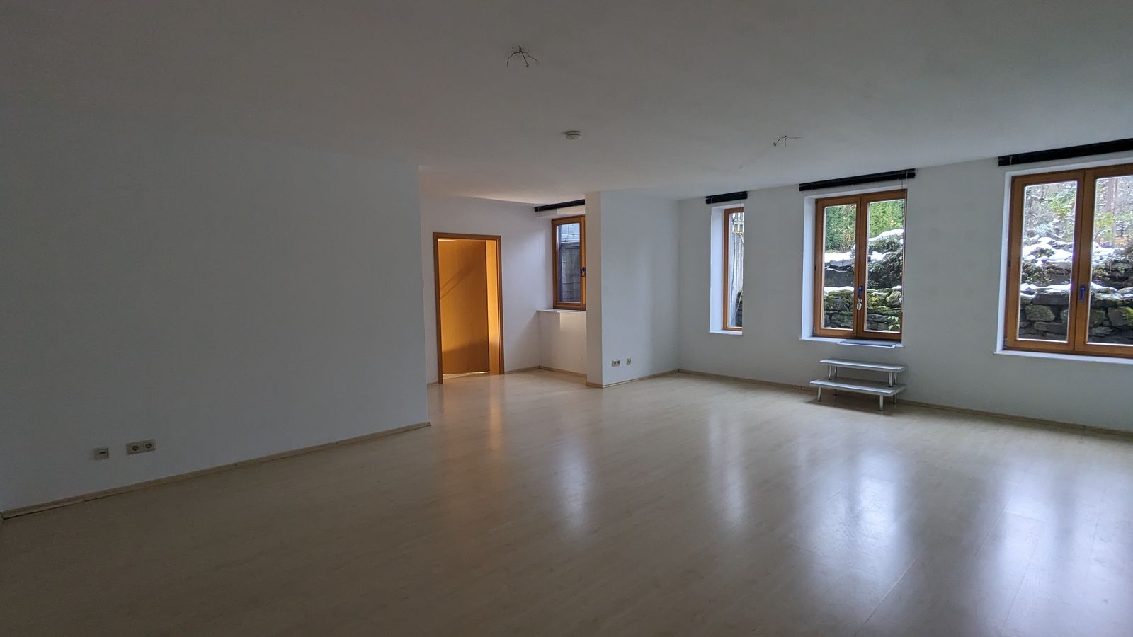 Wohnzimmer der Einliegerwohnung